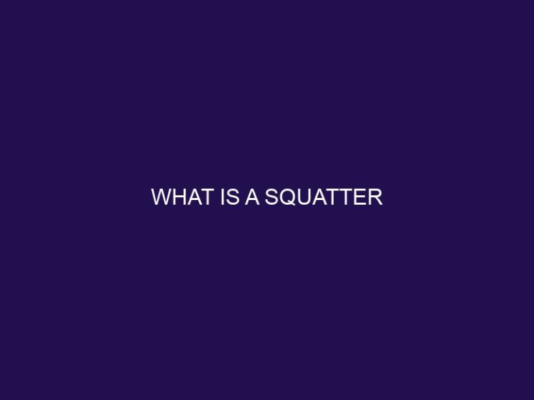 What is a Squatter